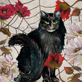 Image Not Available